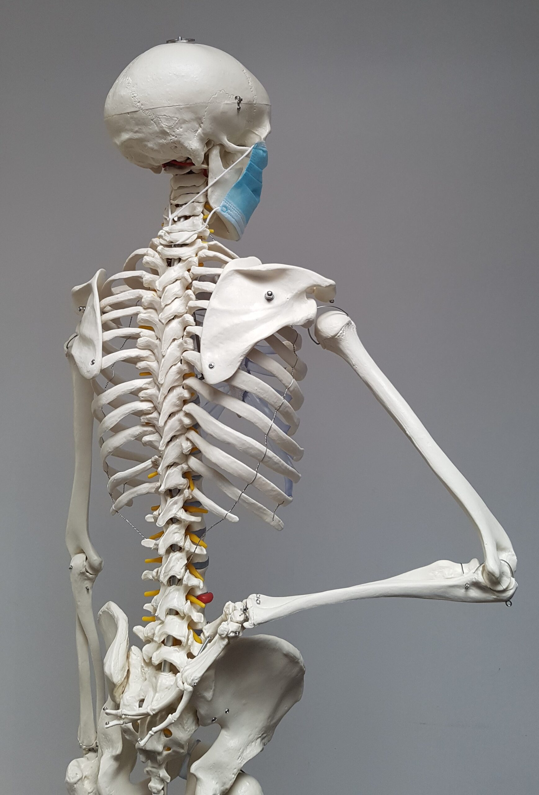 Bones back (2)